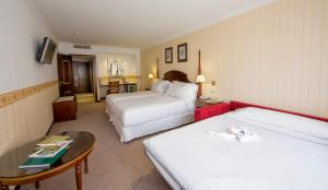 Triple Room room in Eurostars Araguaney