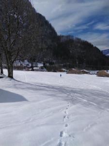 Chalets Le clair logis : photos des chambres