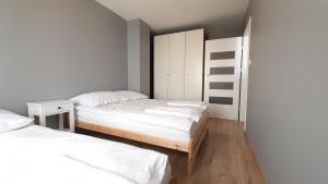 Apartament Róża