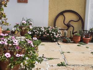 Holiday Dreamy Art Cottage with private courtyard and sea view Samos Greece