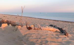 Maisons d'hotes La dune du bien etre : photos des chambres