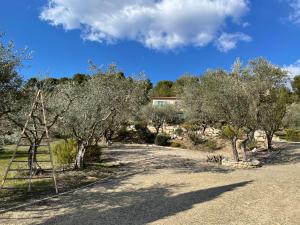 Maisons de vacances La maison dans l’Olivette : photos des chambres