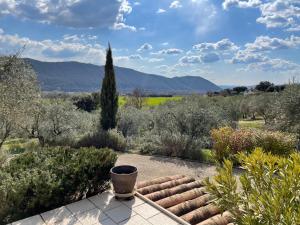 Maisons de vacances La maison dans l’Olivette : photos des chambres