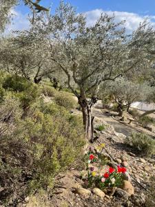 Maisons de vacances La maison dans l’Olivette : photos des chambres