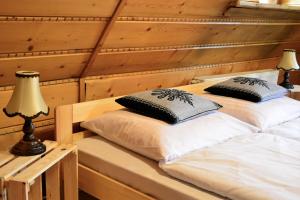 Apartament Czarna Willa