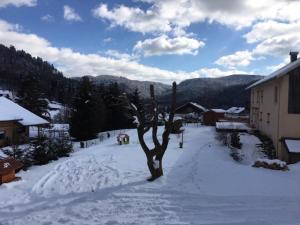 Chalets Le Chalet de la Deviniere : photos des chambres