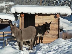 Maisons d'hotes Le Bois des Louison : photos des chambres