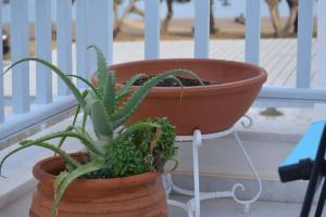 Fairy-tale Seafront Cycladic home Paros Greece