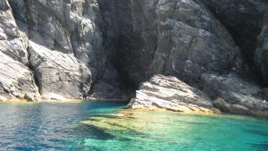 Al Martin Pescatore img19