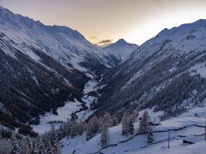 Double Room with Mountain View room in Hotel Silbertal