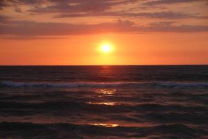 P&M Final Option Beach Resort