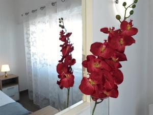 Torre 6- Vista Cidade, Aconchegante, 80mt Praia, Wifi