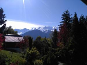 Appartements Mont Etape , F2, 42 m2, Calme, Vue Mt Blanc : photos des chambres