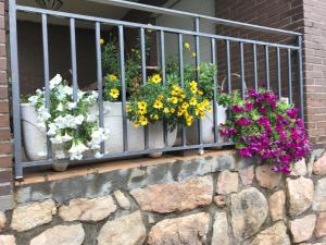 Chale a 25 minutos de Madrid cerca de Somosierra