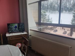 Appartements Residence belle hutte cote pistes de ski : photos des chambres