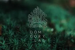 DOM GÓRY LAS - kameralny pensjonat w centrum Karpacza dla gości dorosłych od 13 roku życia, catering śniadaniowy, zapytaj o późne wymeldowanie o 18 - Ściegny