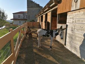 B&B / Chambres d'hotes VILLA LES HAUTS VALLONS : photos des chambres