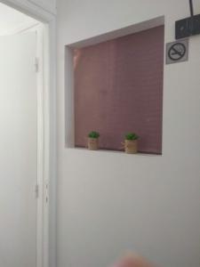 Appartements Studio Port Rhu Douarnenez : photos des chambres