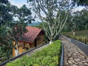 ECOCABAÑAS SAN PEDRO - San Pedro