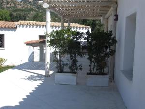 Residenza Nialiccia img19
