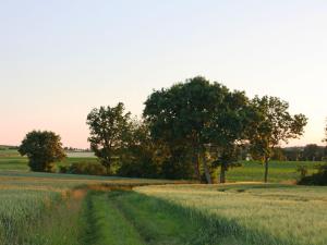 Villas Modern Villa in Brives sur Charente with Private Pool : photos des chambres