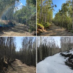 Górskie Formy - drewniany dom w górach z balią