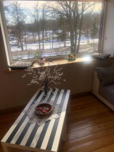 Stamerienas Apartamenti