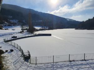 Hotels Le Lac Des Moines : Chambre Familiale