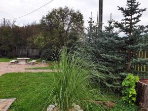 Hegyalja Vendégház