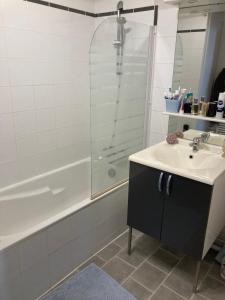 Appartements Appartement de la Breche 44 m2 Wifi ,place Drouaise : photos des chambres