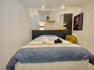 Bel appartement T2 de 50 m2, spacieux et lumineux - 009