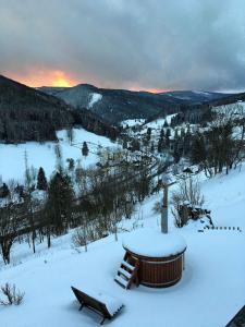 Apartment in Pec pod Snezkou 2098