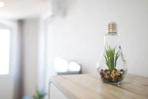 Primadonna Apartments