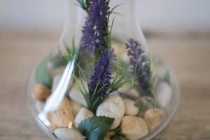 Primadonna Apartments