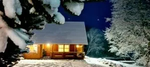 Lombi Holiday House - Pilkuse Asundus