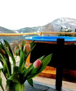 Widokówka - dom na wyłączność z pięknym widokiem i balią - Bystra