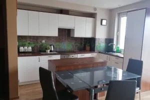 Komfortowy Apartament dla turystów i pracowników - Otomin