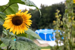 Glamping - Hayrack Vesel
