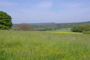 La-Haut, gite-maison de vacances