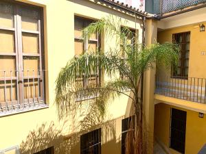 Homely Málaga Pozos Dulces 27 centro histórico