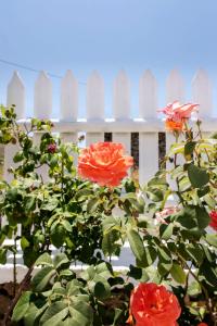 Serenity home in mesi village (middle of island) Tinos Greece