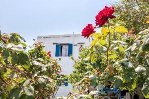 Serenity home in mesi village (middle of island) Tinos Greece