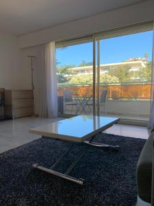 Cannes Grand Studio Terrasse