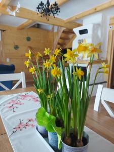 Dom na Wichrowym Wzgórzu