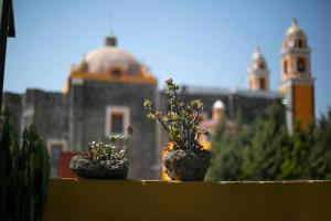 Majikal B&B - Alebrijes