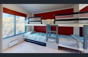 Valley View 303 AMS Mt Buller