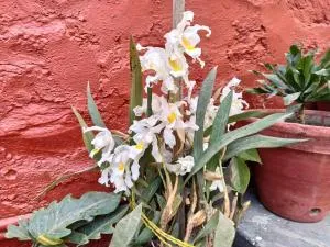 Bhattidanda Fresh & Natural Homestay - Yāngbel