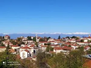 GUEST HOUSE DAVID - Dedoplis Tskaro