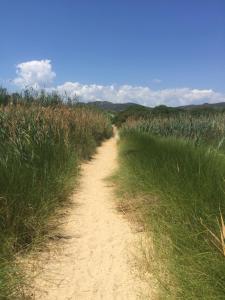 Nuova Valmar Villa le Rondini img18