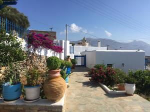 Cycladic houses in rural surrounding 3 Amorgos Greece